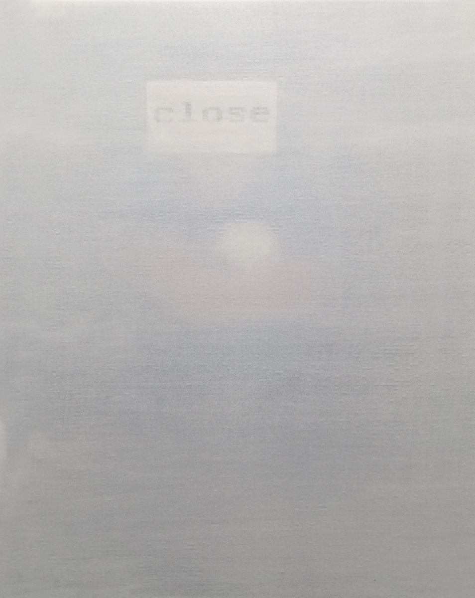 2016 CLOSE ( webcam Levain )39 cm x 31 cm opera su tela numero 01 